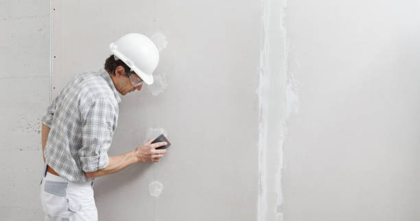 Best Basement Mold Removal  in Leachville, AR