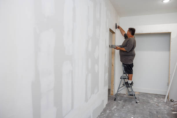Best Mold Removal for HVAC Installations  in Leachville, AR