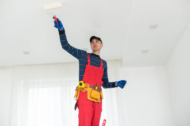 Best Emergency Mold Remediation  in Leachville, AR