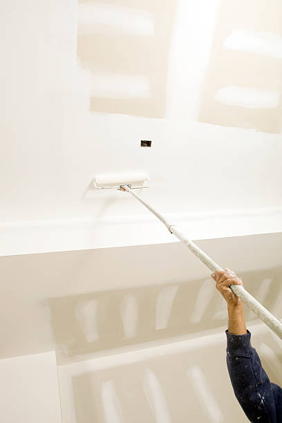 Best Mold Damage Restoration  in Leachville, AR